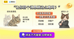 不知她们能否曾正在某个时空倾吐过相互的秘